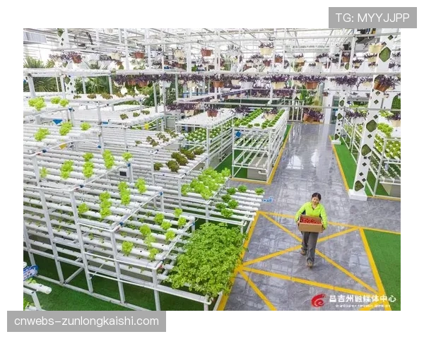 探访沈阳新主场：揭秘“智慧球馆”背后的5G专网与物联网部署